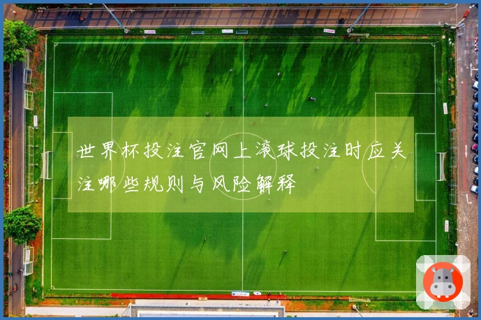 世界杯投注官网上滚球投注时应关注哪些规则与风险解释