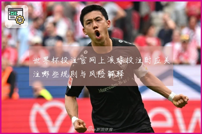 世界杯投注官网上滚球投注时应关注哪些规则与风险解释